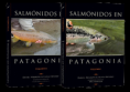 /album/fotogaleria/salmonidos-png/